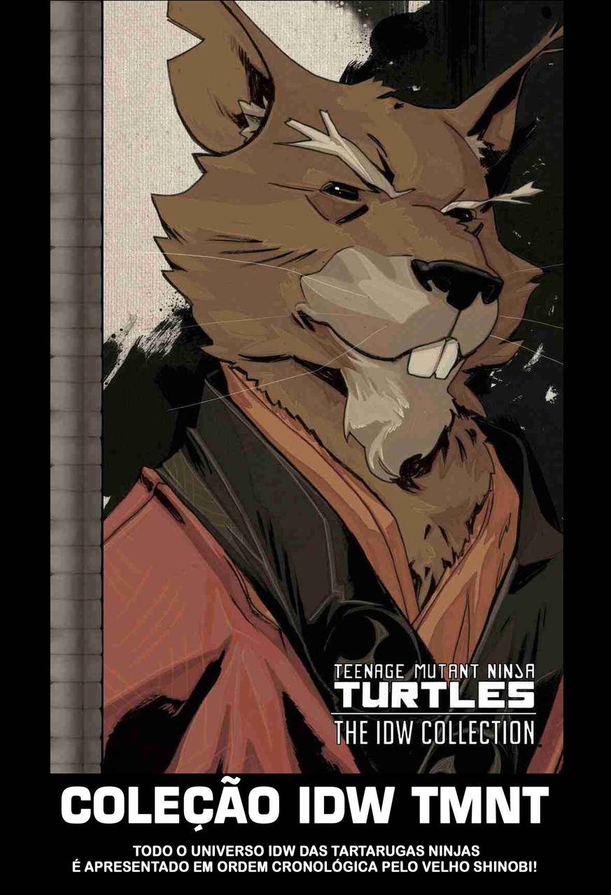 Tartarugas Ninja: IDW Collection, Vol.02